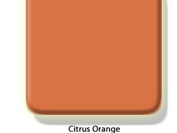 citrus orange